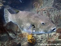 2019-02-08_IMG_6143 Kopie.jpg